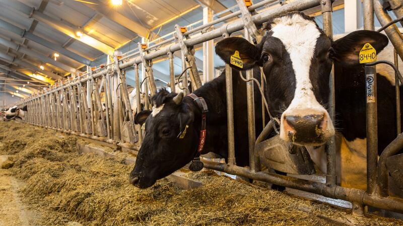 Ireland’s agricultural emissions are ‘uniquely high’ in Europe, a conference on climate change has heard. File photograph: Sergei Ilnitsky/EPA