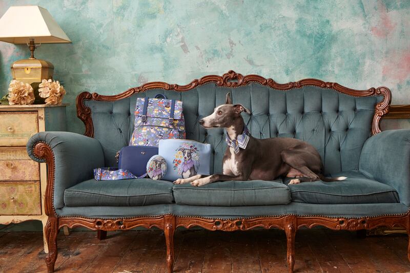 Consider walking your dog in the morning and leaving them at home to rest while your family goes out and enjoys an occasion that pets might not enjoy