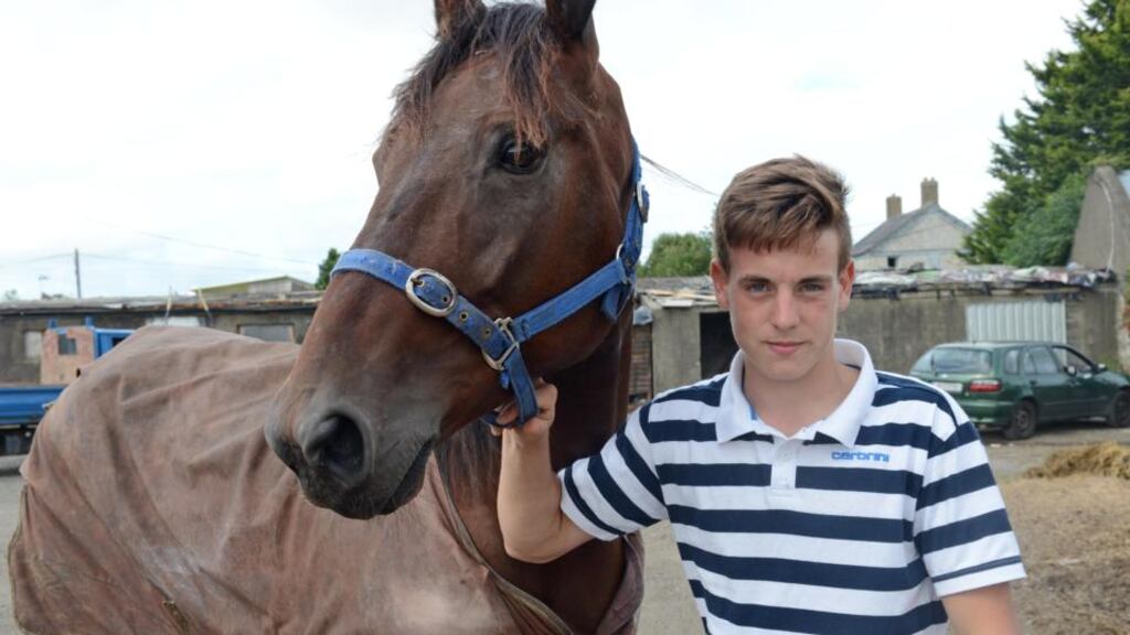 Ross Aspill (16)  and his horse Cheeky Chappy in Clondalkin,  Dublin. Photograph: Eric Luke / The Irish Times
