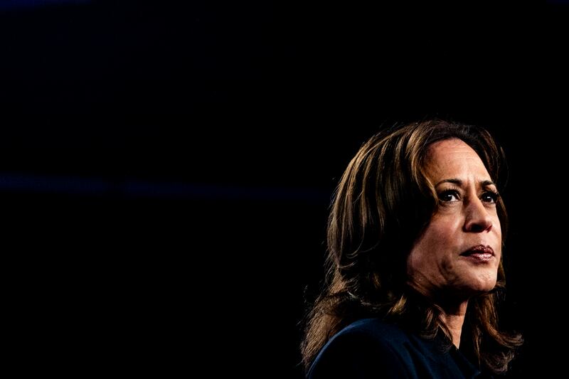 IS vice-president Kamala Harris, the Democratic nominee for the White House. Photograph: Emily Elconin/New York Times
                      