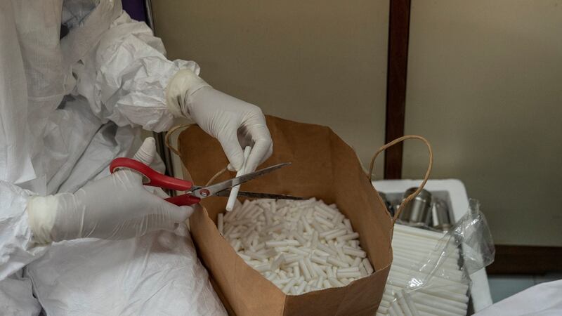 Swabs are cut up to be used for sweat samples to train dogs at Chulalongkorn University. Photograph: Adam Dean/The New York Times