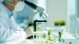 Investing in tomorrow’s success