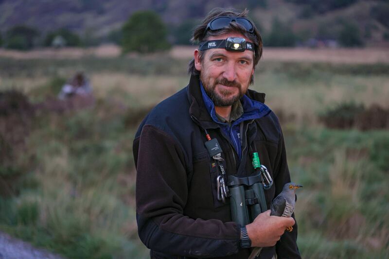 Sam Bayley, conservation ranger and director of the Cuckoo Tracking Project with a cuckoo (Cuach Cores) ready for satellite tracking at Derrycunnihy, Killarney National Park.  Photograph: Valerie O’Sullivan
