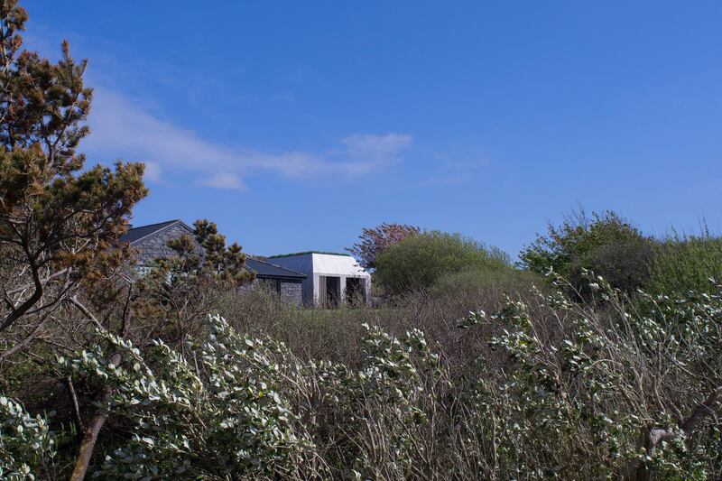 Connemara cool: Peter and Paula Vine’s Clifden home blends into its surroundings