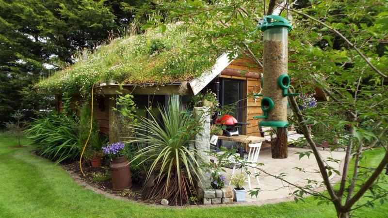 Living green roof, to help it blend into the mature tree background, on Trevor Carswell’s shed