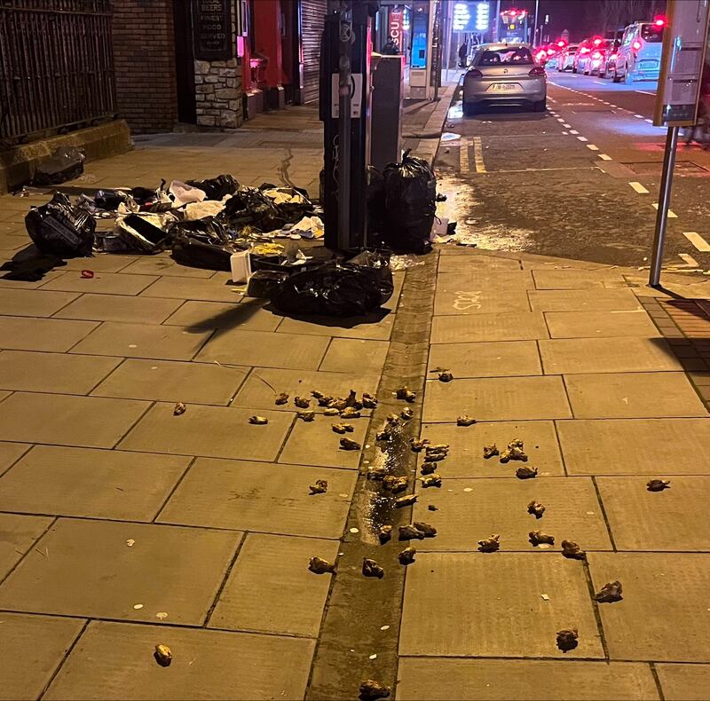 Chicken wings scattered on a Dublin footpath, but no seagulls to be seen anywhere. 