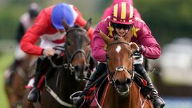 Minella Indo confirms Cheltenham superiority over Allaho