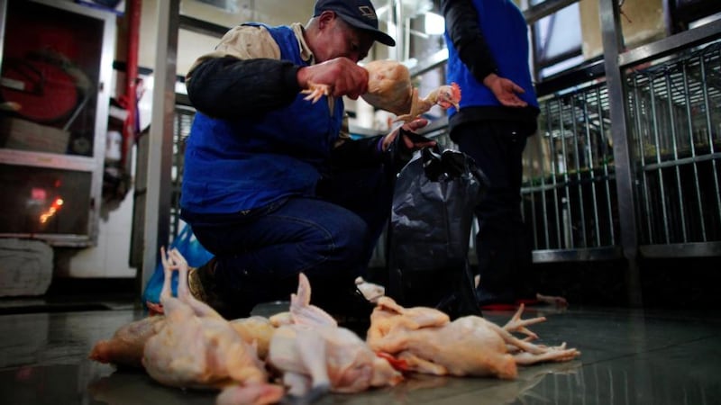 A man puts a chicken inside a plastic bag at a food market in downtown Shanghai today. Chinese authorities have slaughtered over 20,000 birds as the death toll from a new strain of bird flu has mounted to six. Photograph: Carlos Barria/Reuters