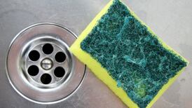 Health tip of the day: Nuke your dish sponge