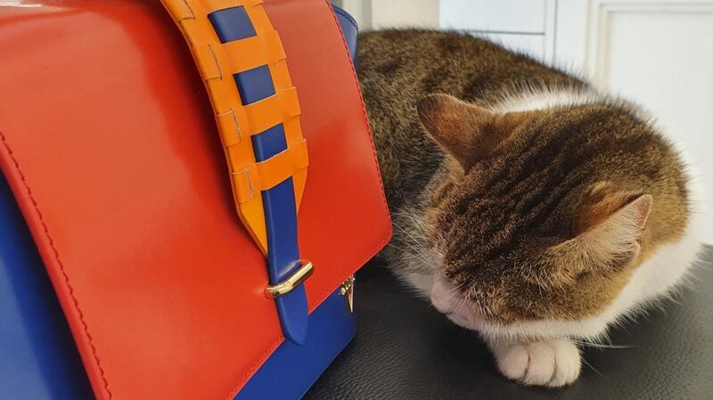 Liza, an Istanbul cat, asleep beside a Hiva Atelier calfskin crossboy