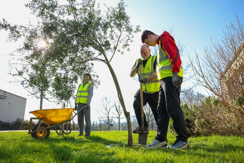 Students with intellectual disabilities in Dublin's Airfield Estate take practical lessons in horticulture and hospitality. Photograph: Enda O'Dowd/ The Irish Times
