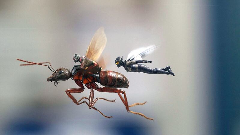 Paul Rudd and Evangeline Lilly in Ant-Man and the Wasp