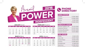 Averil Power used Oireachtas service to print 73,000 calendars
