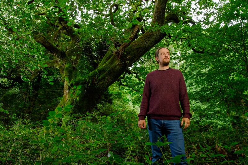 Seán Ronayne’s favourite tree, an oak tree, in Ballyannon Wood in Midleton, Co Cork. Photograph: Daragh Mc Sweeney/Provision
