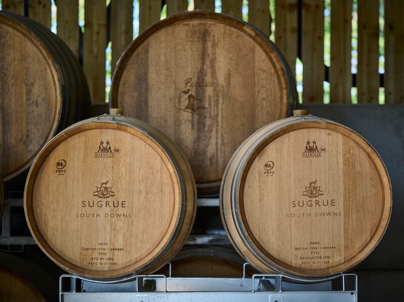 Sugrue South Downs farms five vineyards across east and west Sussex in England. Photograph: Sarah Weal