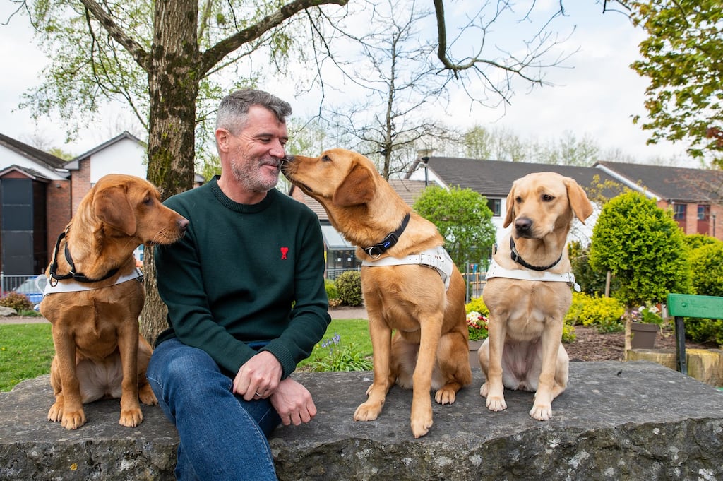 Roy Keane is tackled by some of the guide dogs at the launch. Photograph: John Allen