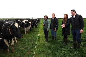 Tense negotiations, trad music sessions: How deal to extend nitrates derogation was done