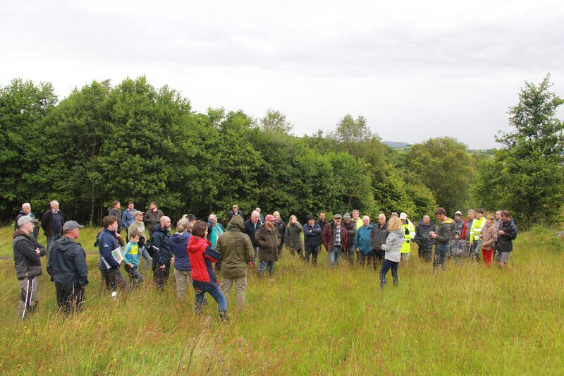 Dr Dolores Byrne, a project ecologist, talks to farmers attending a farm walk on James Gilmartin’s farm in Leitrim Photograph: James Connolly