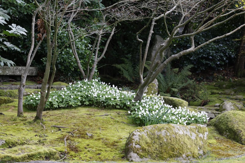 The gardens were landscaped by garden designer Verney Naylor and Japanese landscape designers Takenaka. Photograph: Nick Bradshaw 