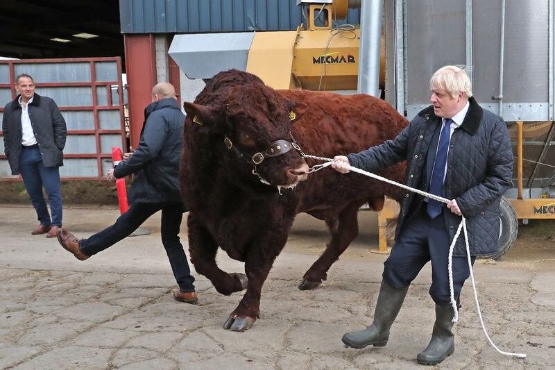 A plainclothes police officer is knocked backwards as  prime minister Boris Johnson tries to steer a bull during a visit to Darnford Farm in Banchory near Aberdeen in Scotland. Photograph: Andrew Milligan/AFP/Getty Images