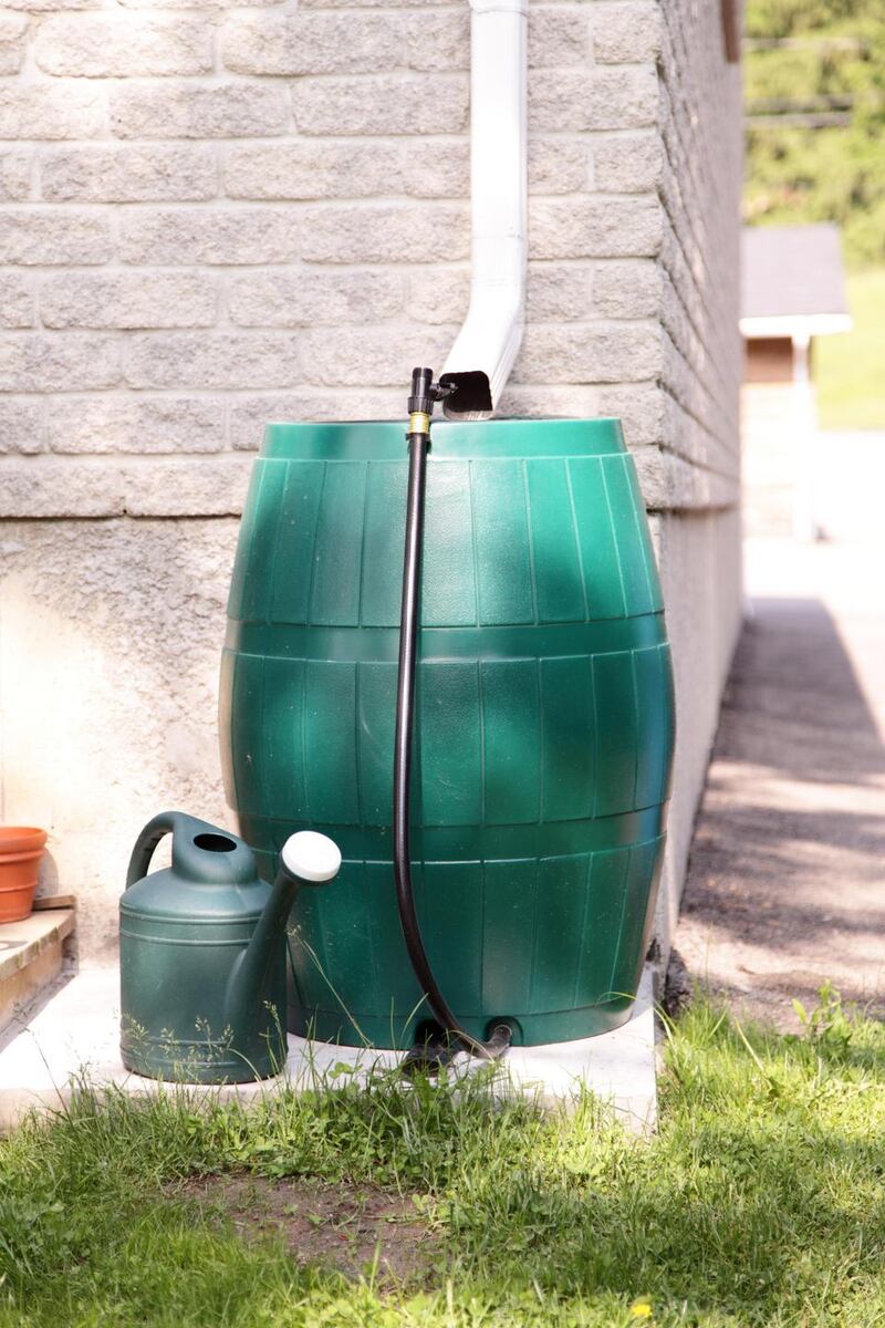 Keep the hose coiled and get a water butt to collect rainwater instead. Make sure to use a watering can with a rose head too. Photograph: Dorin S/Getty Images