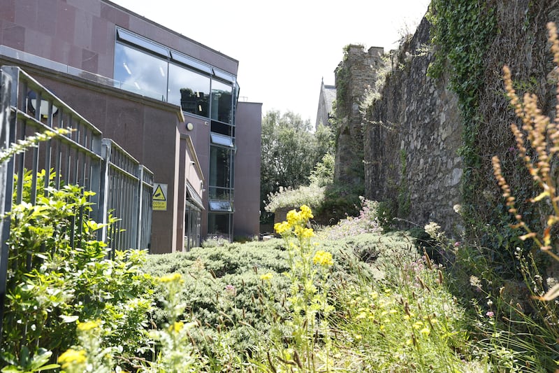 Wexford library was built close to a section of Wexford's town wall. Photograph: Nick Bradshaw
