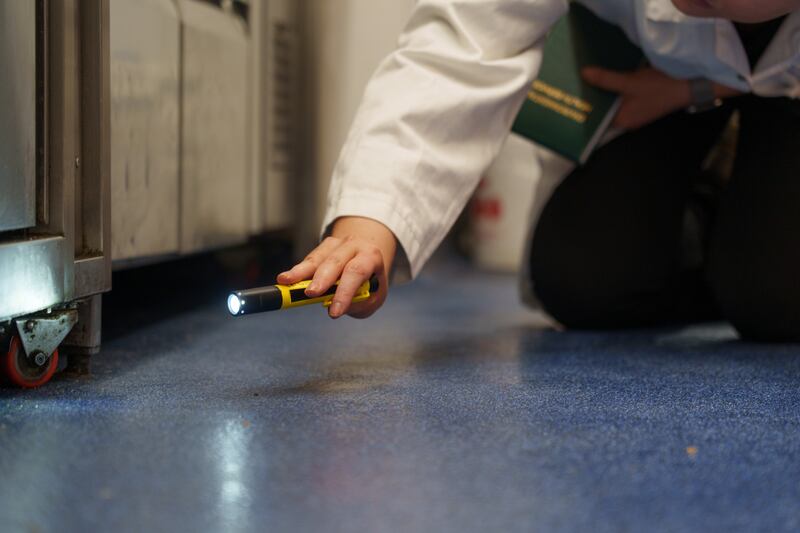 Environmental health officers seek to shed light on food businesses' kitchen practices. Photograph: Barry Cronin for The Irish Times.