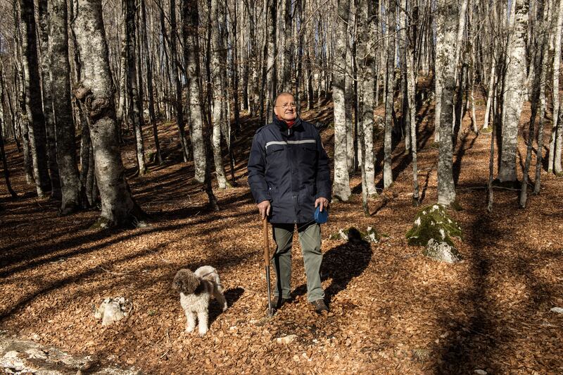 Renato Tomassetti, honorary president of the Lazio region’s truffle hunter association, and his truffle hunting dog Bella, in woods near Camerata Nuova, Italy. Photograph: Stephanie Gengotti/New York Times
