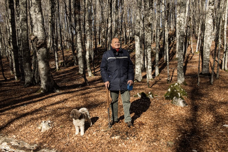 Renato Tomassetti, honorary president of the Lazio region’s truffle hunter association, and his truffle hunting dog Bella, in woods near Camerata Nuova, Italy. Photograph: Stephanie Gengotti/New York Times