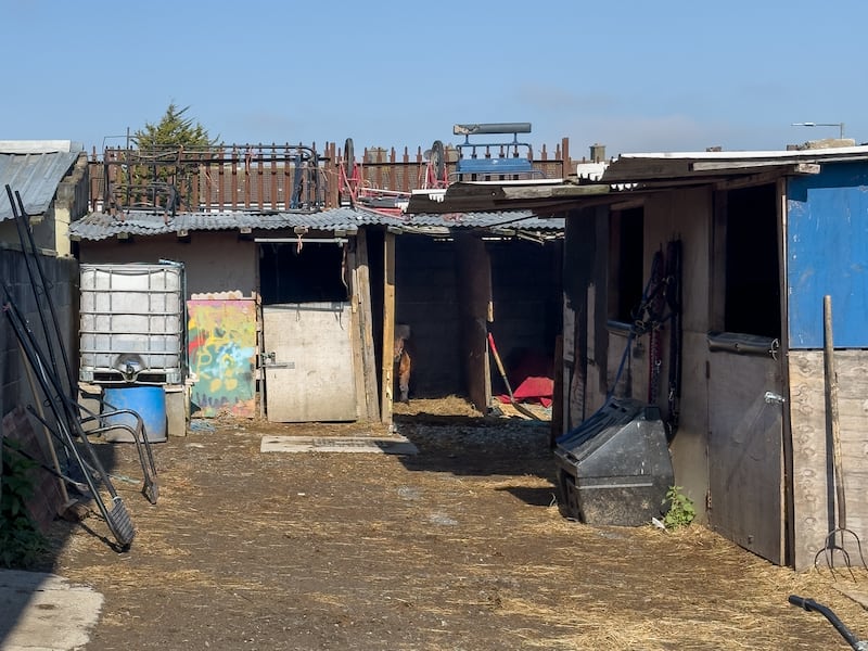 The garden of a boarded-up house in the Cherry Orchard estate, Ballyfermot, Dublin 10, has been turned into stables