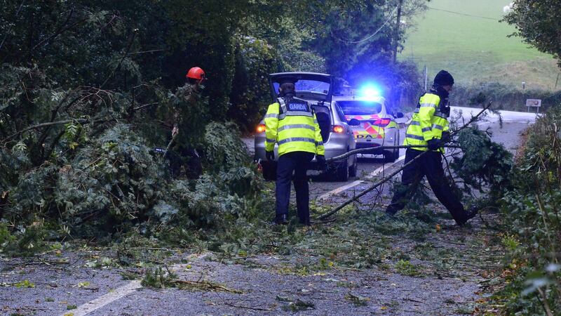 Gardaí clearing the road near Enniskerry from a fallen tree during storm Ophelia in October 2017. Photograph: Cyril Byrne/The Irish Times