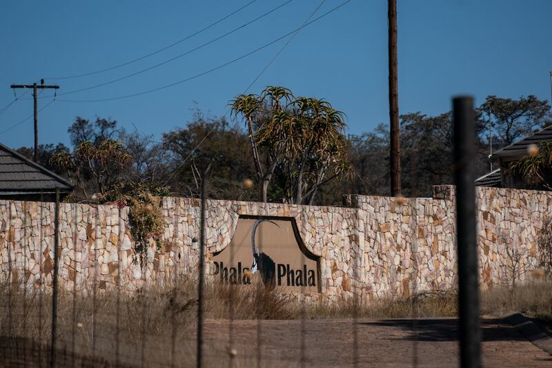 Ramaphosa’s game farm, Phala Phala, outside Bela-Bela, South Africa June 18th. Photograph: Joao Silva/The New York Times
