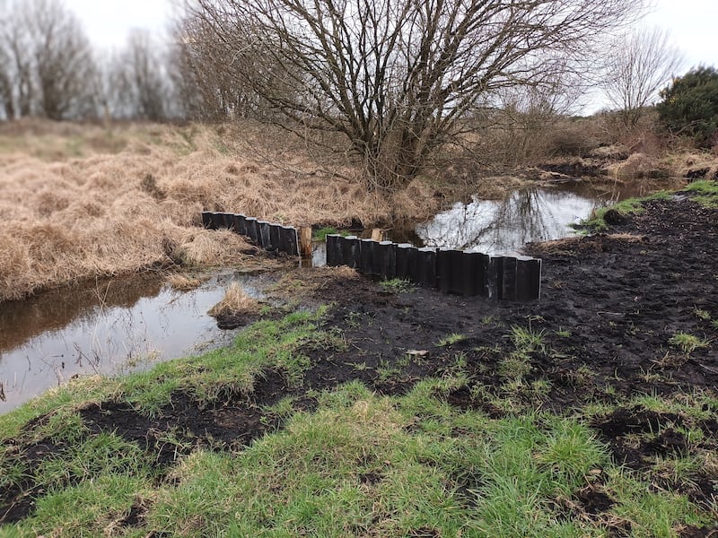 A drain and dam two weeks after installation. Water levels in drains can be controlled by farmers as part of the rewetting project near Athlone Photograph: FarmPEAT EIP
