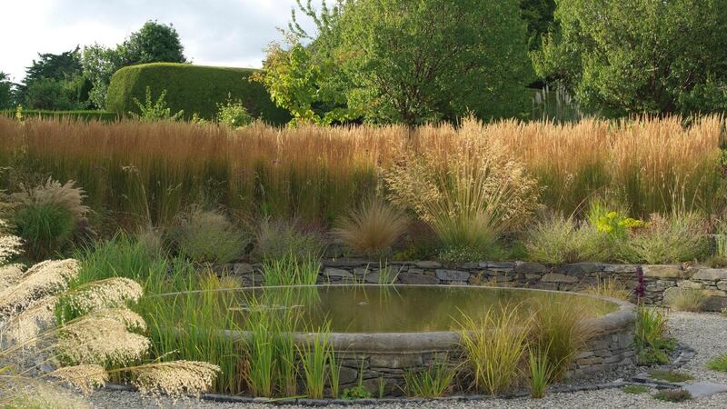 A mix of ornamental grasses in a garden designed by Oliver Schurmann. Photograph: Richard Johnston