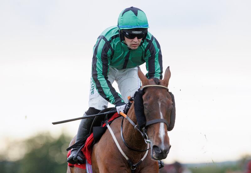 Hewick is a bargain buy who could challenge hard for a National glory. Photograph: James Crombie/Inpho