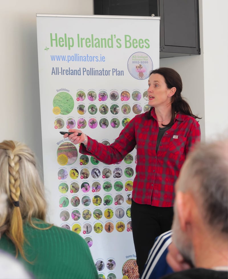 Dr Úna Fitzpatrick, chief scientific officer at the National Biodiversity Data Centre, and co-founder of the All-Ireland Pollinator Plan.