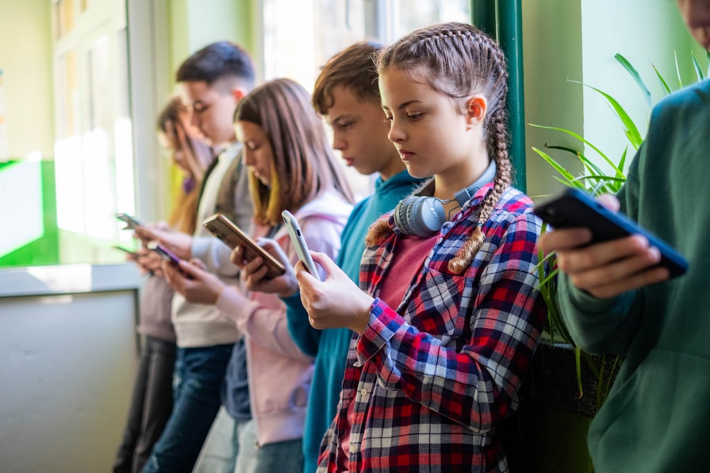 There may be support for a social media ban on young teenagers in Ireland but it is not likely to happen in the short term. Photograph: iStock