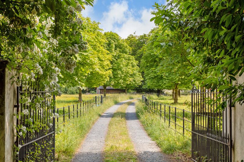 Entrance gate on to long driveway