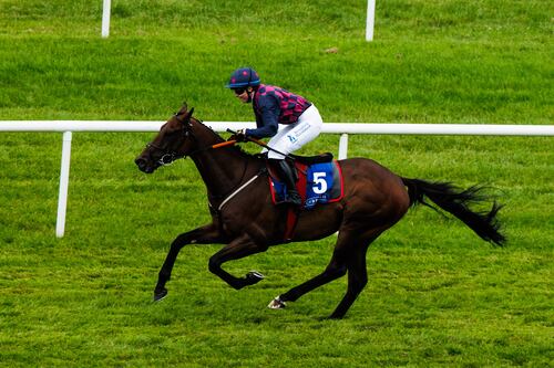 Last year’s runner-up Ndaawi out to go one better in Galway Hurdle