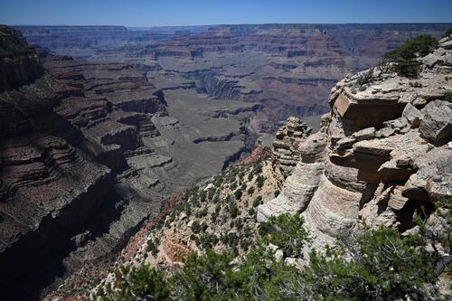 In a Word...Homonyms