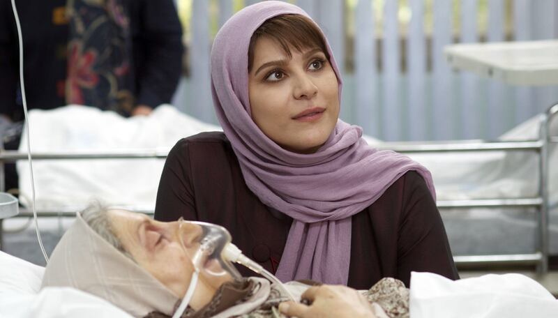 Stultified: Sahar Dowlatshahi in Inversion