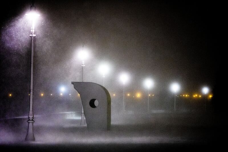 Photograph: Tom Honan