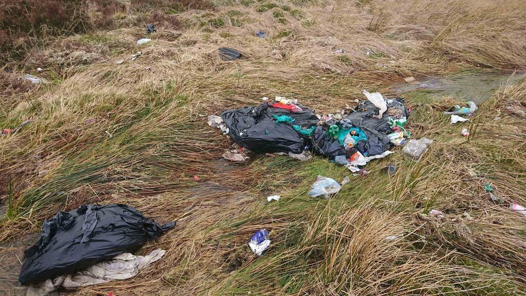 On-the-spot litter fines will be “substantially increased” from the current €150, under the changes planned by Minister for the Environment Denis Naughten. Photograph: Dara Grehan