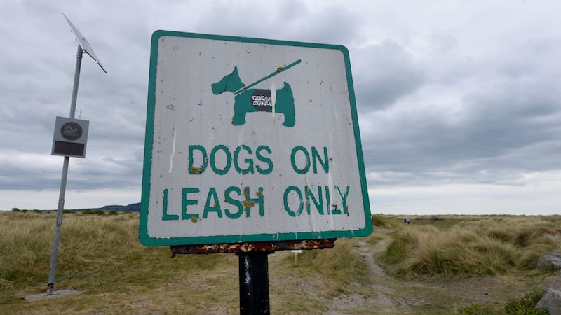 Dollymount Strand. Photograph: Alan Betson
