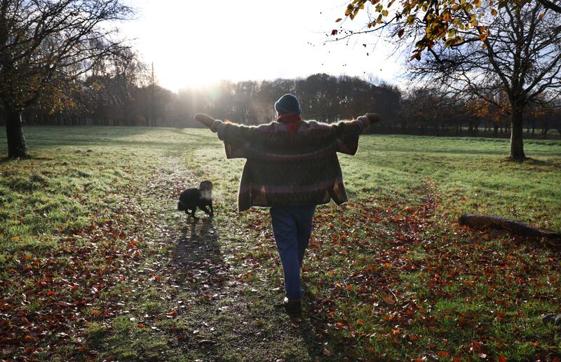 Aisling Rogerson with her dog Cuán in the Phoenix Park, Dublin. Photograph: Bryan O’Brien