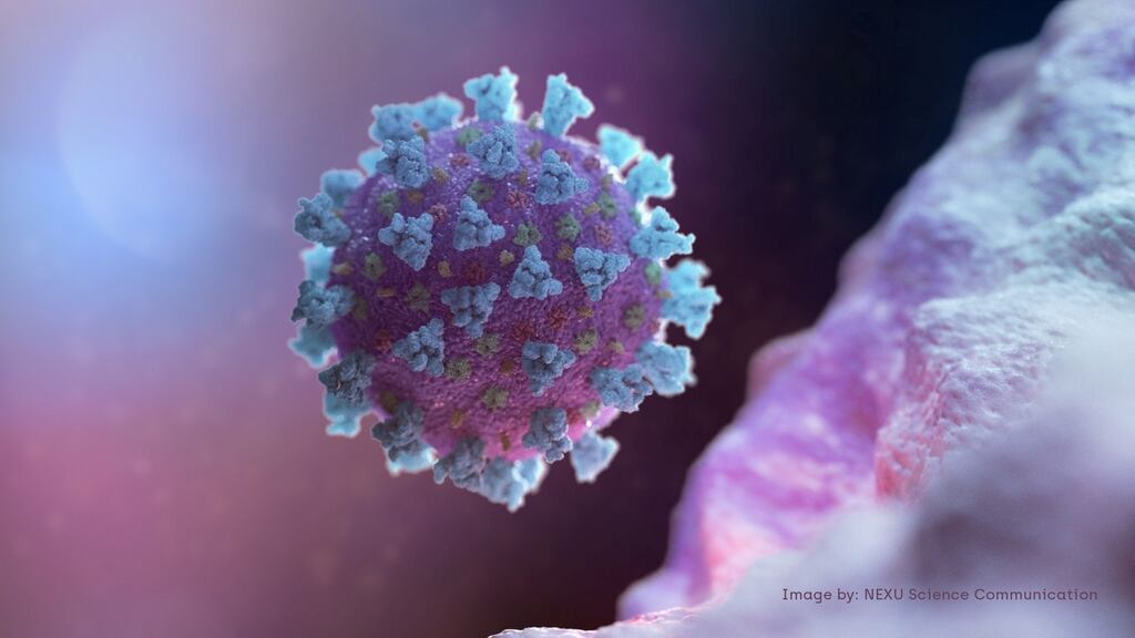 Novaerus has developed technology that not only clears the coronavirus from the air but also kills it using a plasma discharge. Photograph: Nexu Science Communication via Reuters