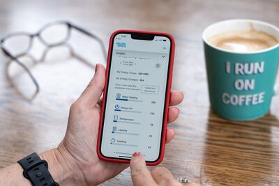 Electricity usage is broken down by easy-to-read categories
