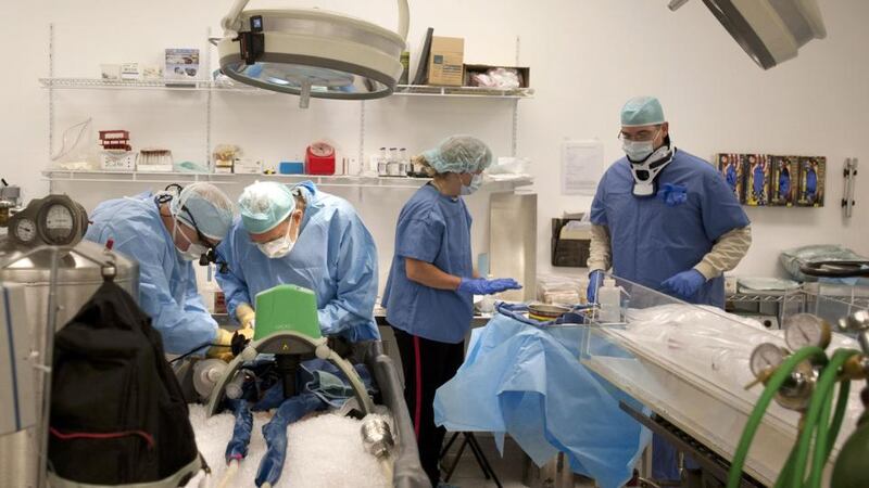 Awaiting a cure for death: a body is packed in ice and prepared for cryopreservation at Alcor Life Extension Foundation, in Arizona. Photograph: Laura Segall/New York Times