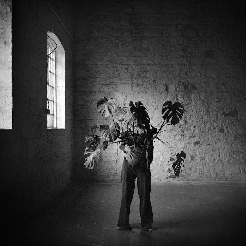 Agata Stoinska, The Seed, from Echoes of 
a Dream, Dublin, 2024