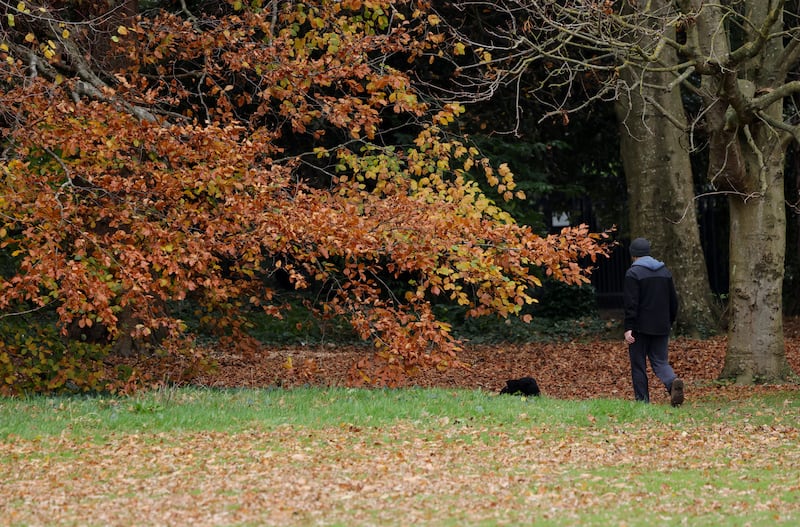 St Anne's Park, Dublin. Photograph: Alan Betson